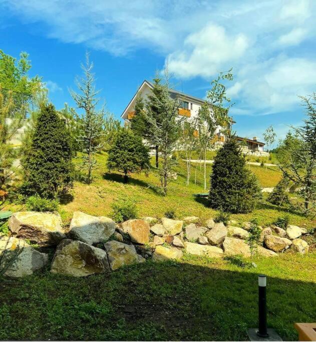 Valley View Breaza Breaza (Prahova) Exterior foto